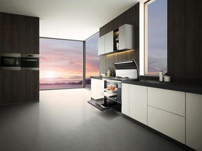 廚衛新寵集成灶 究竟有何魅力，趕緊先睹為快