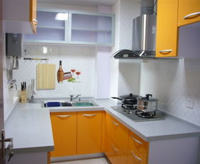 保養秘籍 輕松實現廚衛家電“大護法”，廚房家電維修全攻略